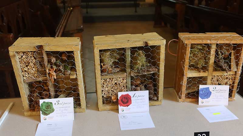Nests